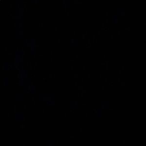 Meet your Posher, Jami